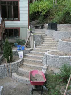 Frontyard - July 2011